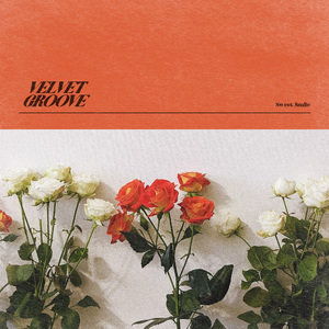 香港三级片风流三侠
